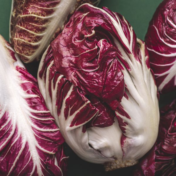 Radicchio - Palla Rosa (60-80 Seeds)